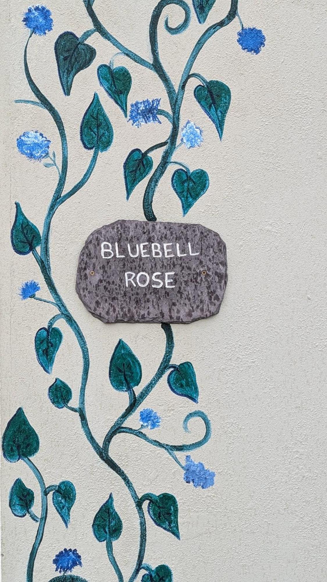 Skellig View Bluebell Rose & The Kerry Cliffs Leilighet Portmagee Eksteriør bilde